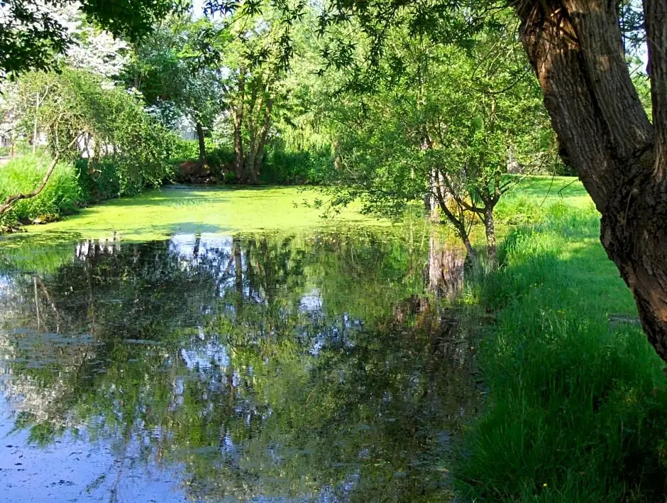 Voir la photo 3 — Pavillon "CASSIOPÉE"