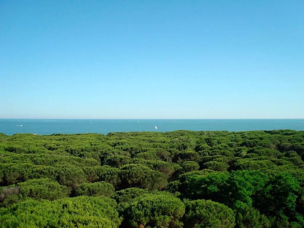 Villa Regina Marepineta Resort - Général