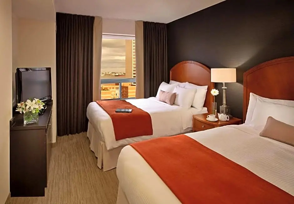 1 Bedroom Suite