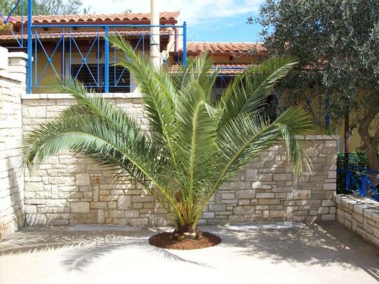 Barbati View Luxury Apartments 