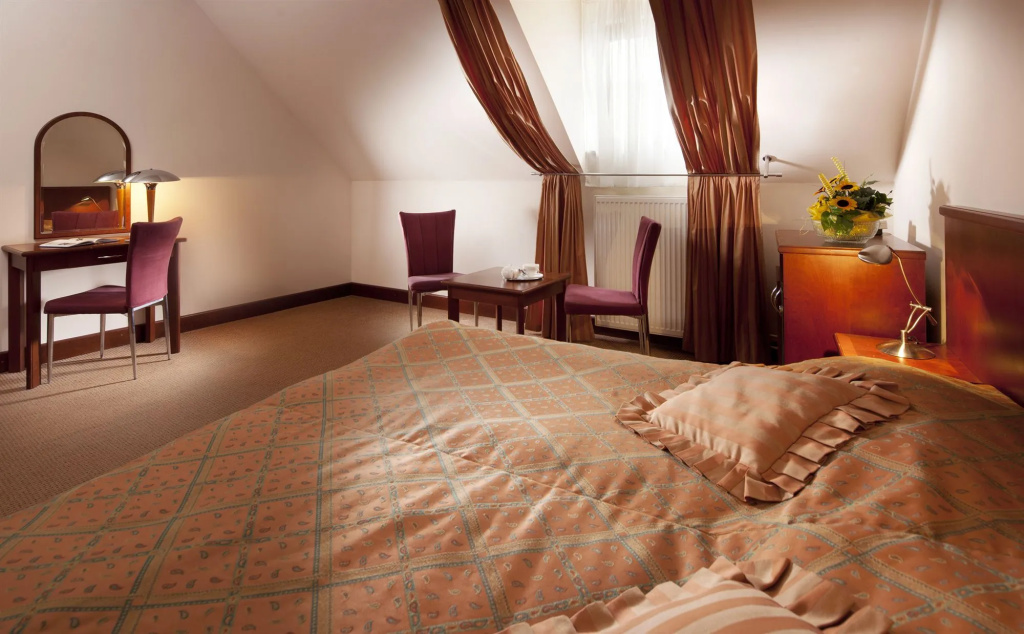 Hotel Concertino Zlatá Husa - Général