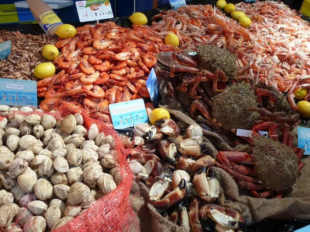 Afficher la photo 6 — Charming Holiday Home in a Quiet Location, Near the Coast, 2 Bicycles