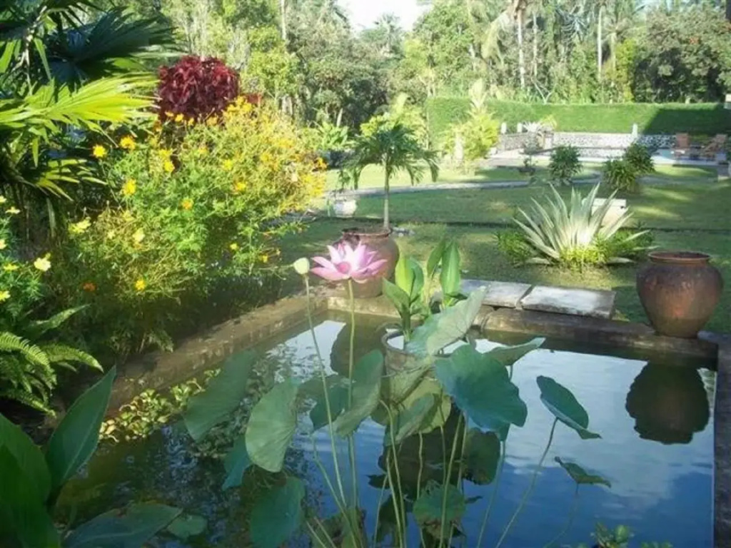 Bukit Asri Lodge - Général