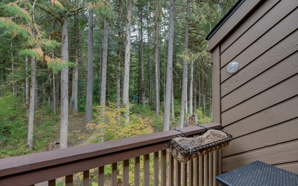 23sw - Luxurious - Wi-fi - Fireplace - Sleeps 4 2 Bedroom Home by Redawning