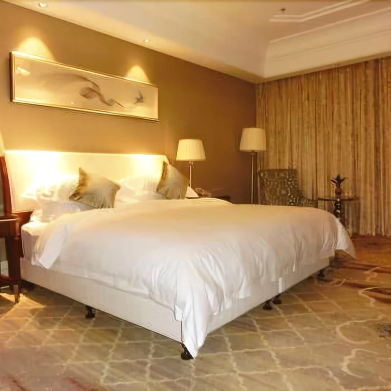 Longcheng Garden Hotel - Général