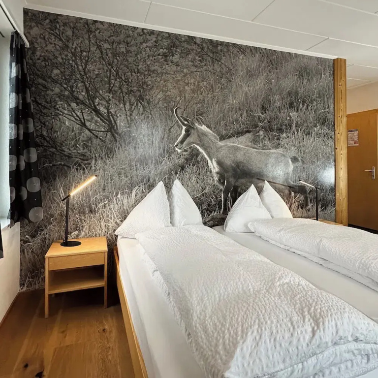 Economy Double room (full double bed)