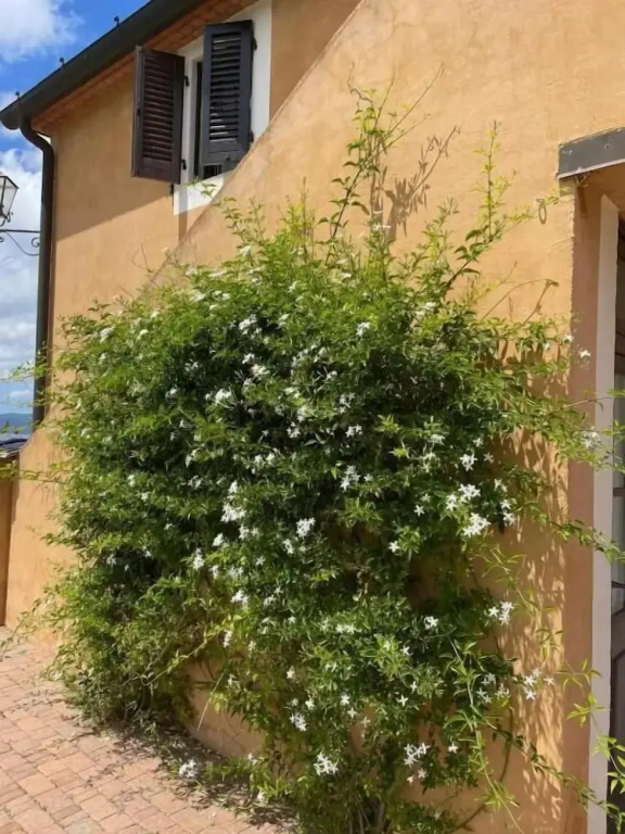 Hotel photo 47