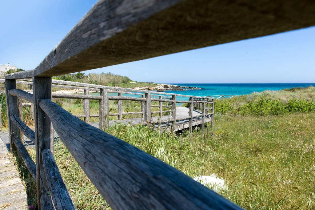 Beach & Waterfront
