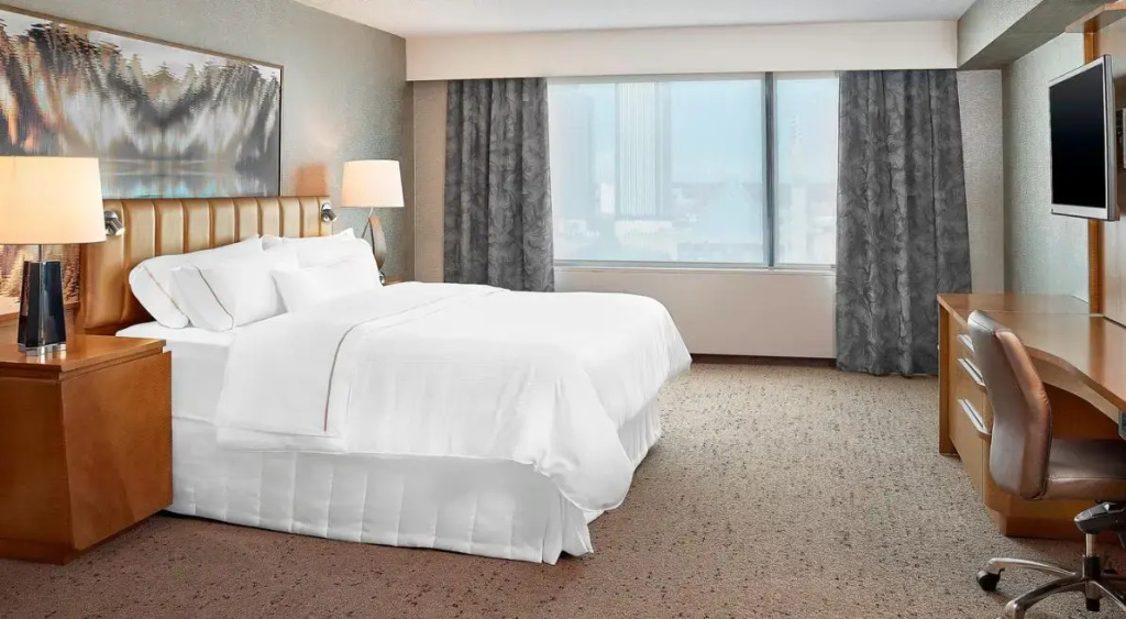 Deluxe Double room (full double bed)