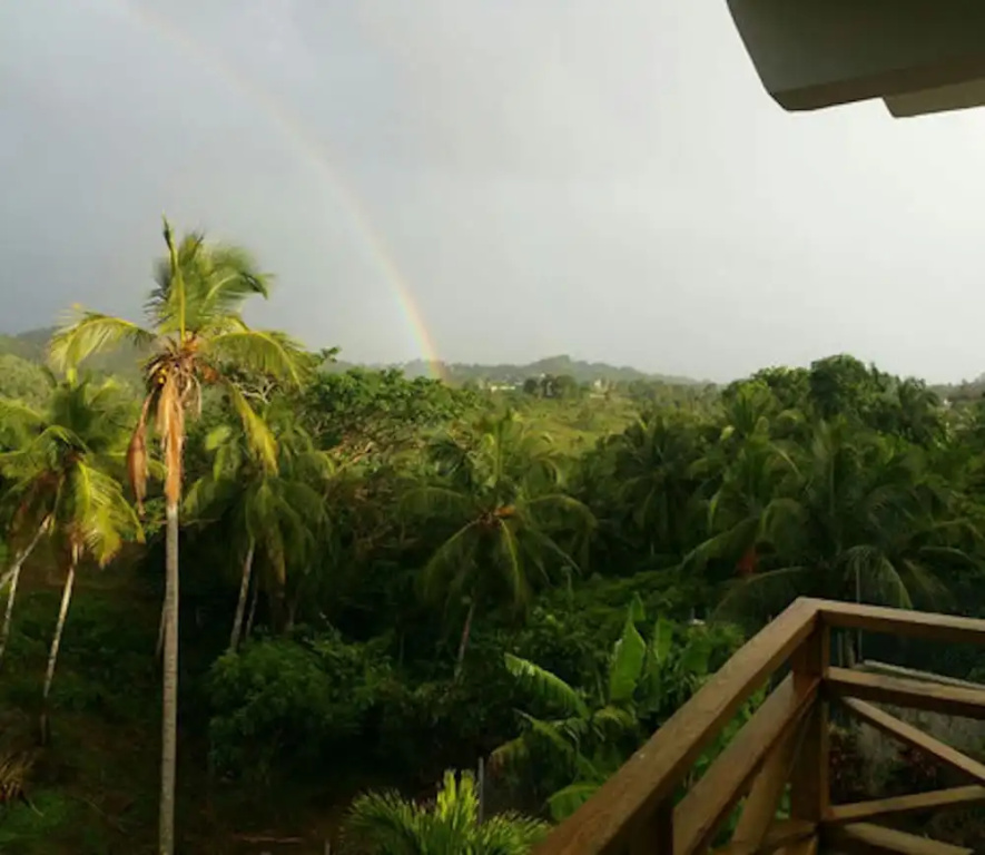Great Palm View - Apartment 3 in Villa Coconut