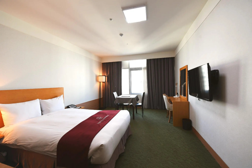 Standard Double room (full double bed)