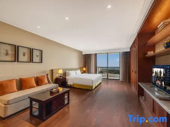 Deluxe Double room with balcony and with courtyard view (full double bed)