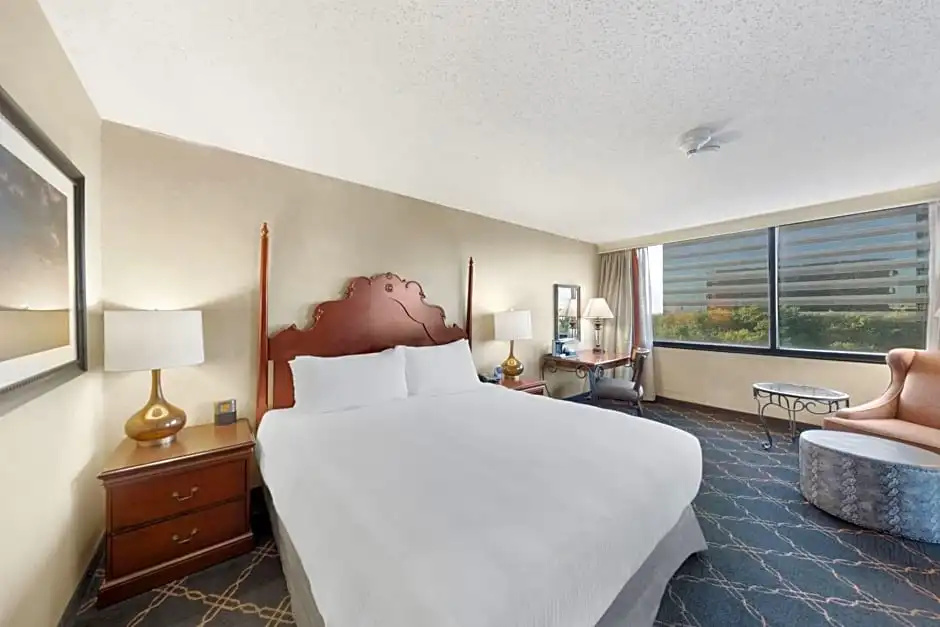 Austin Southpark Hotel - Chambres