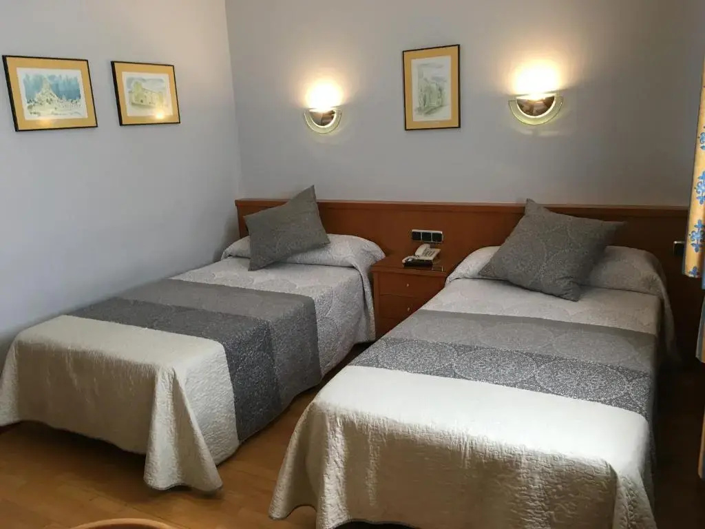 Standard Double room (twin beds)
