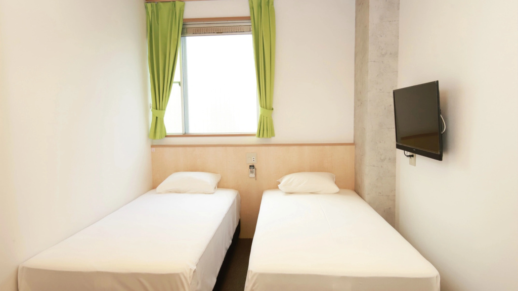 Standard Double room with city view (twin beds)