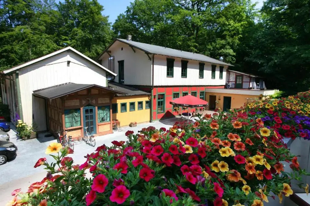 Image 11