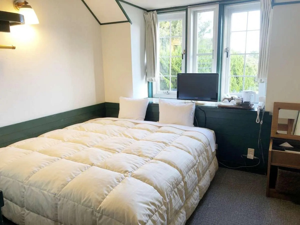 Standard Double room (full double bed)