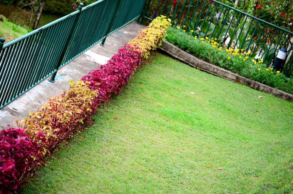 Spring Acre