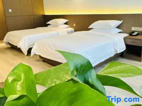 Deluxe Double room (twin beds)