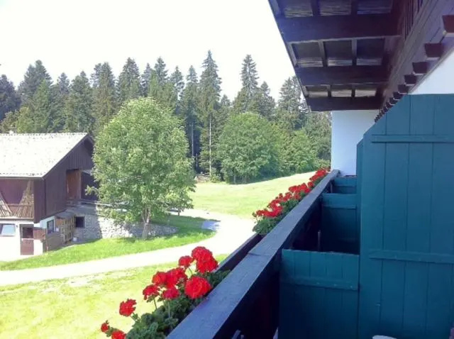 Pension Sunnbichl - Chambres
