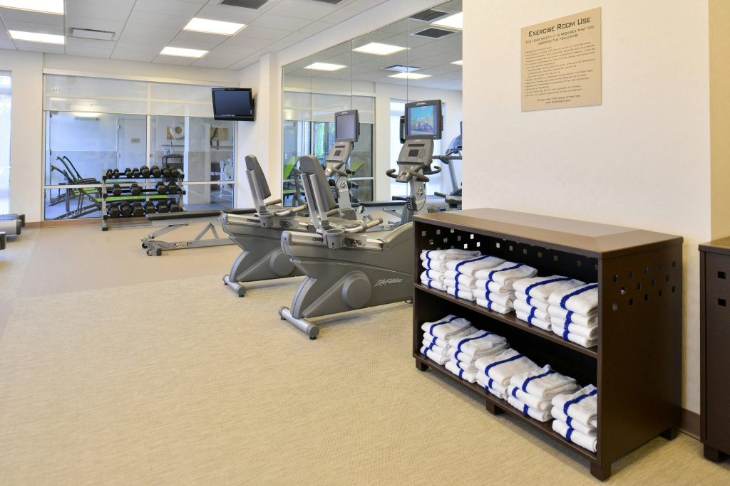 SpringHill Suites by Marriott Detroit Metro Airport Romulus - Général