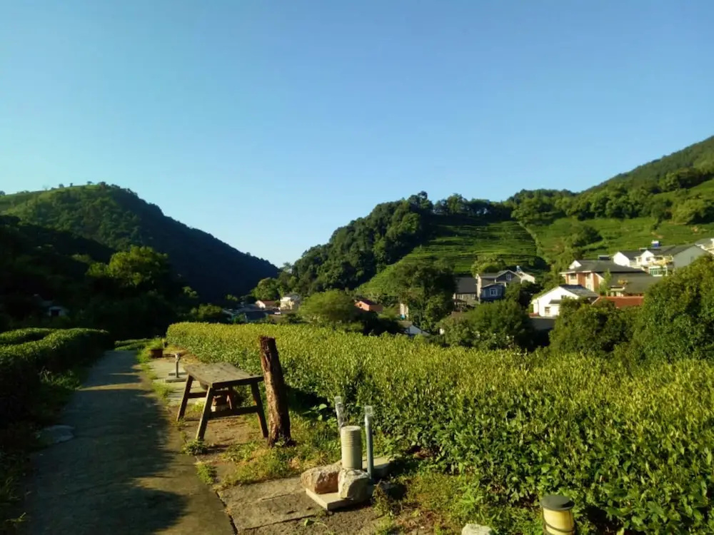 Qiao Garden Vacation Hotel