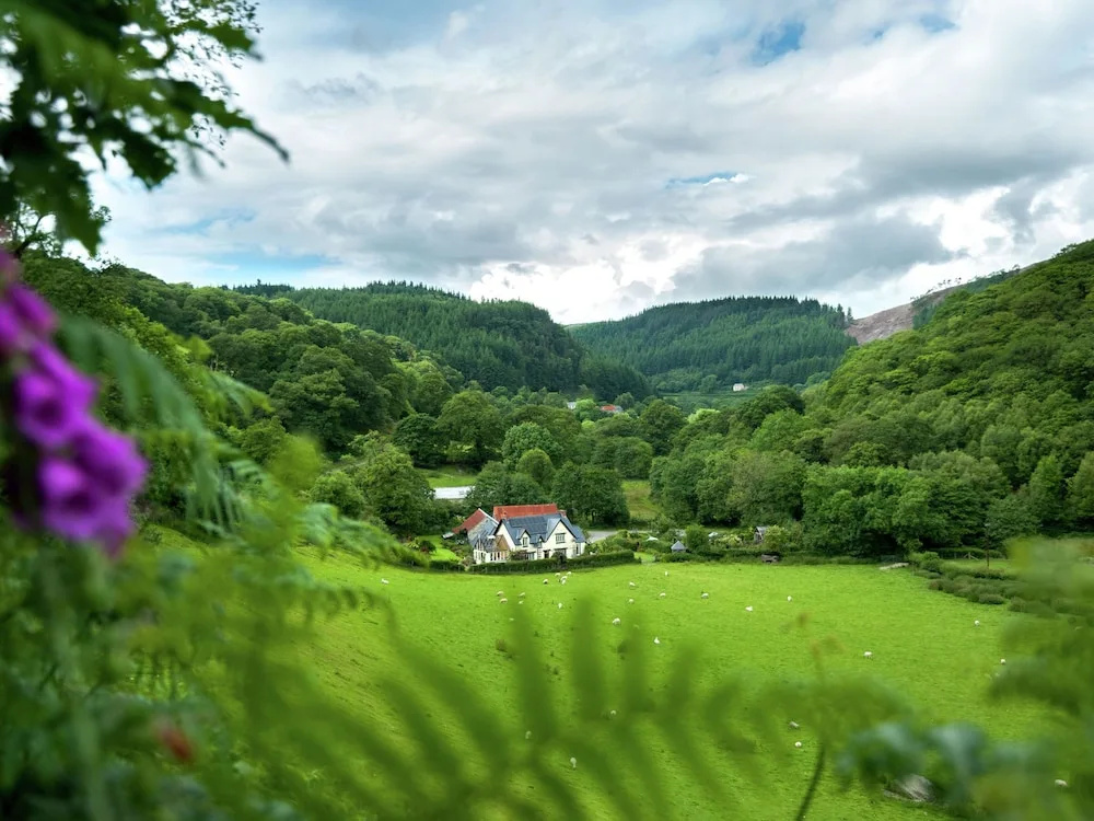 Cozy Holiday Home in South Wales With Patio