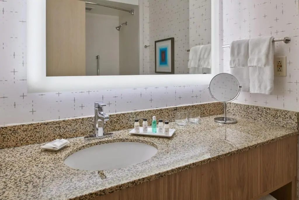 Delta Hotels by Marriott Detroit Novi - Chambres