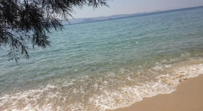 Beach & Waterfront
