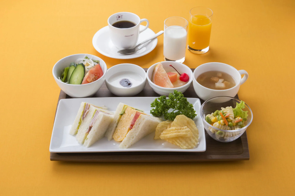 Shin-Osaka Station Hotel - Général