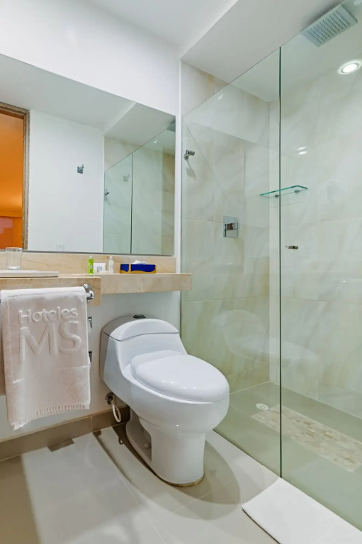 Hotel MS Ciudad Jardín Plus - Général