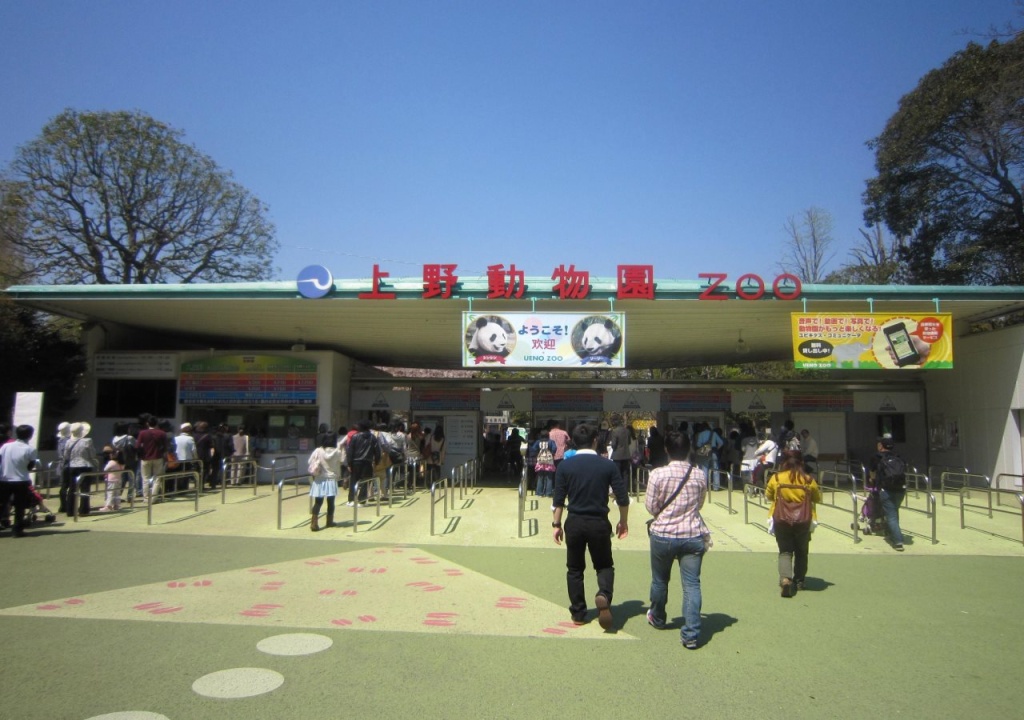 Kinuya Honkan 사진 13
