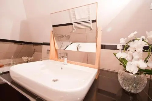 Villa Alina Medical SPA - Général