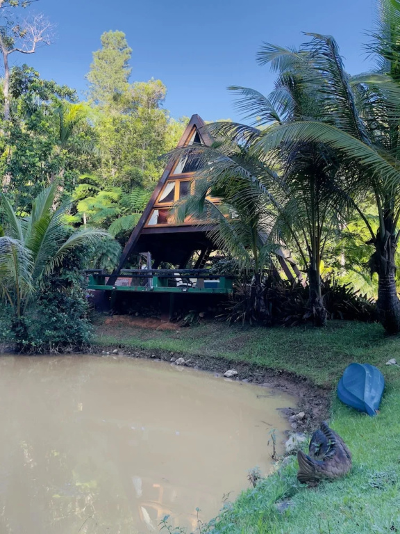 Executive Suite with garden view