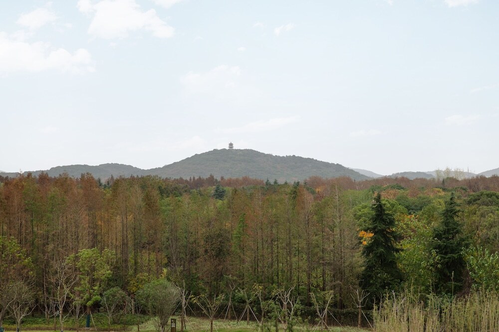 Image 14