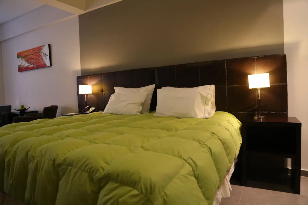 Hotel Neu 354 - Général