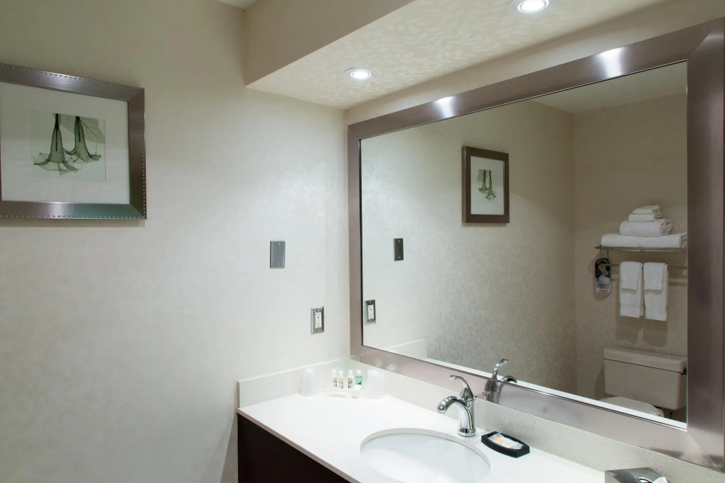 Holiday Inn & Suites Windsor Ambassador Bridge by IHG - Chambres