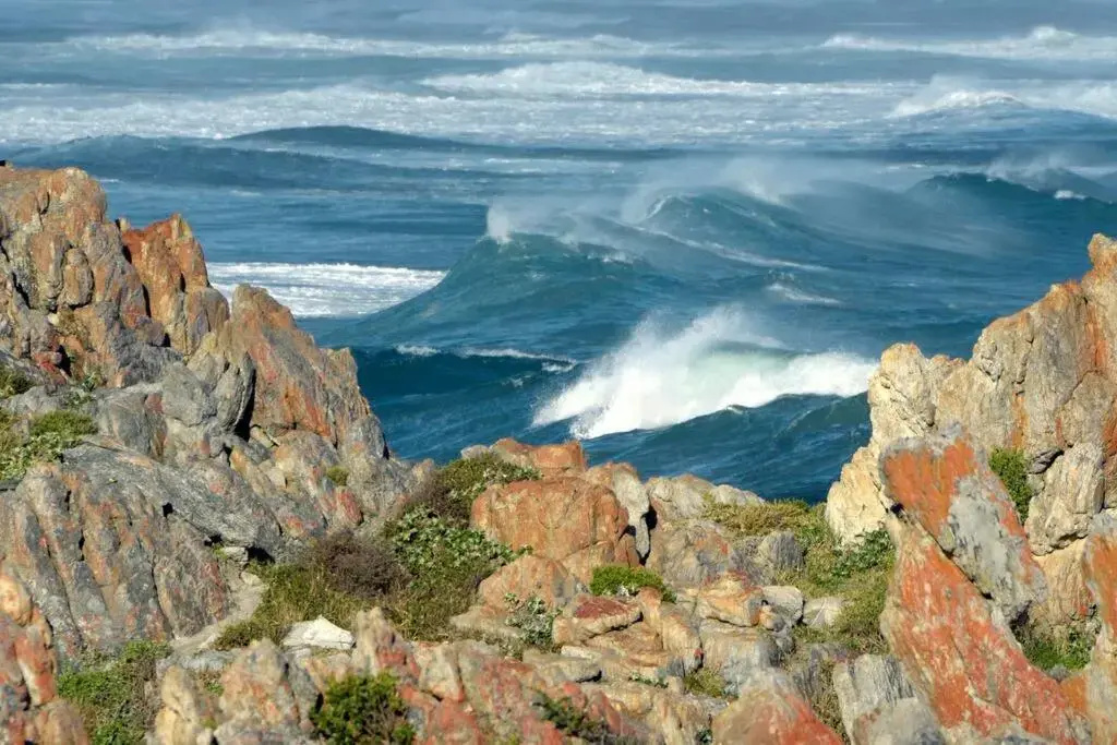 The Whale and Waddler - Unit with a view - and solar energy support