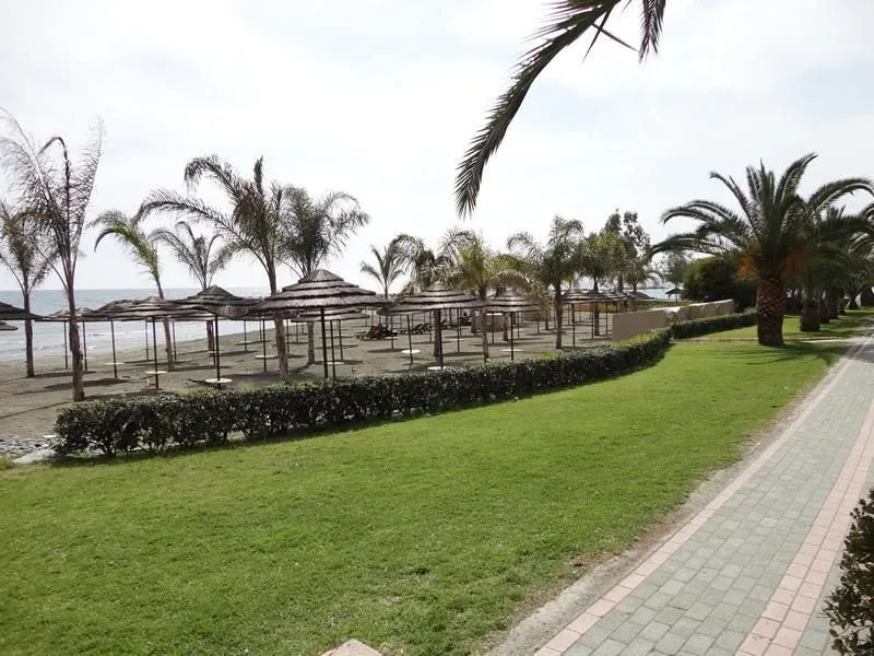Avalon Beach Apartment