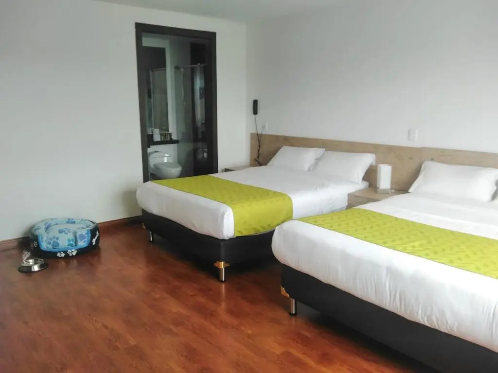 Standard Double room (twin beds)