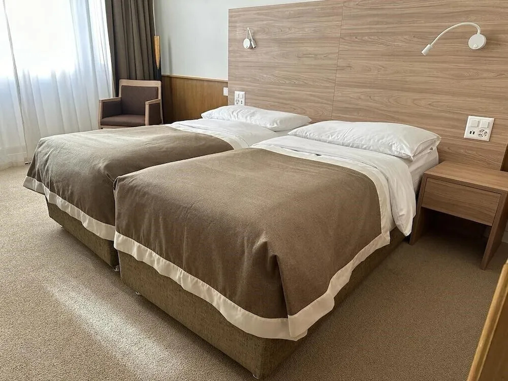 Hotel Continental Room Type - Double Economy Room