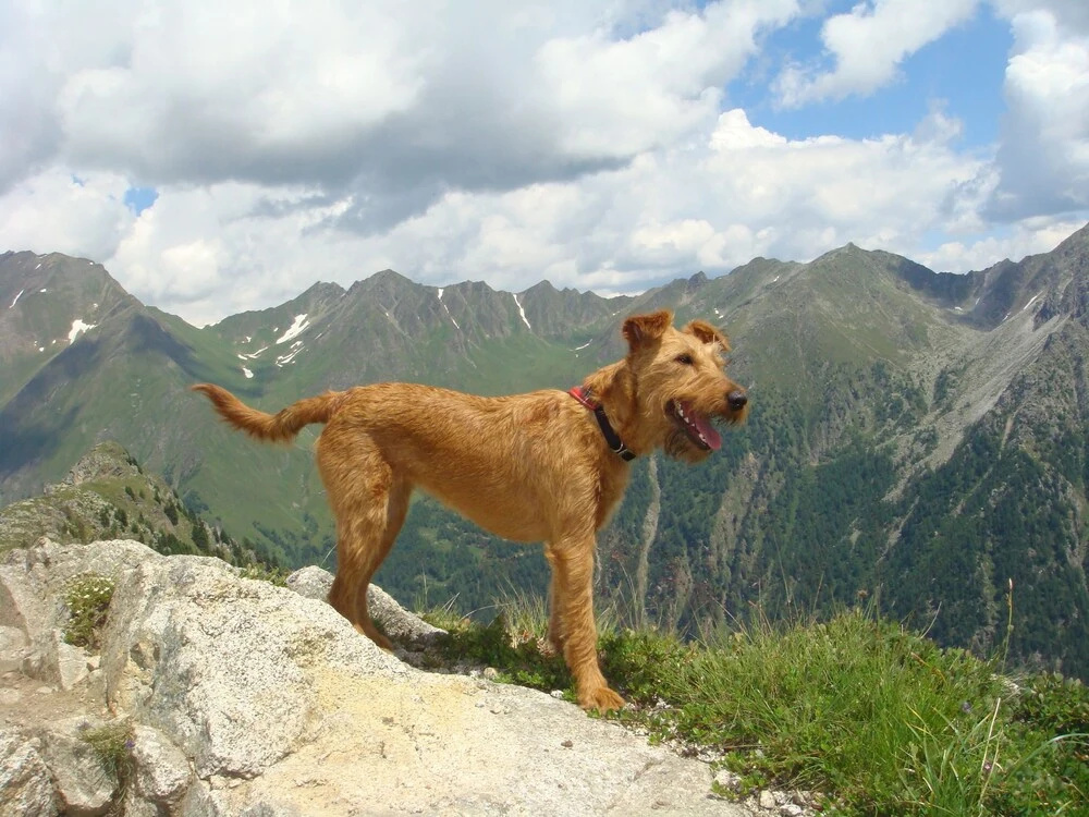 Abis Dolomites