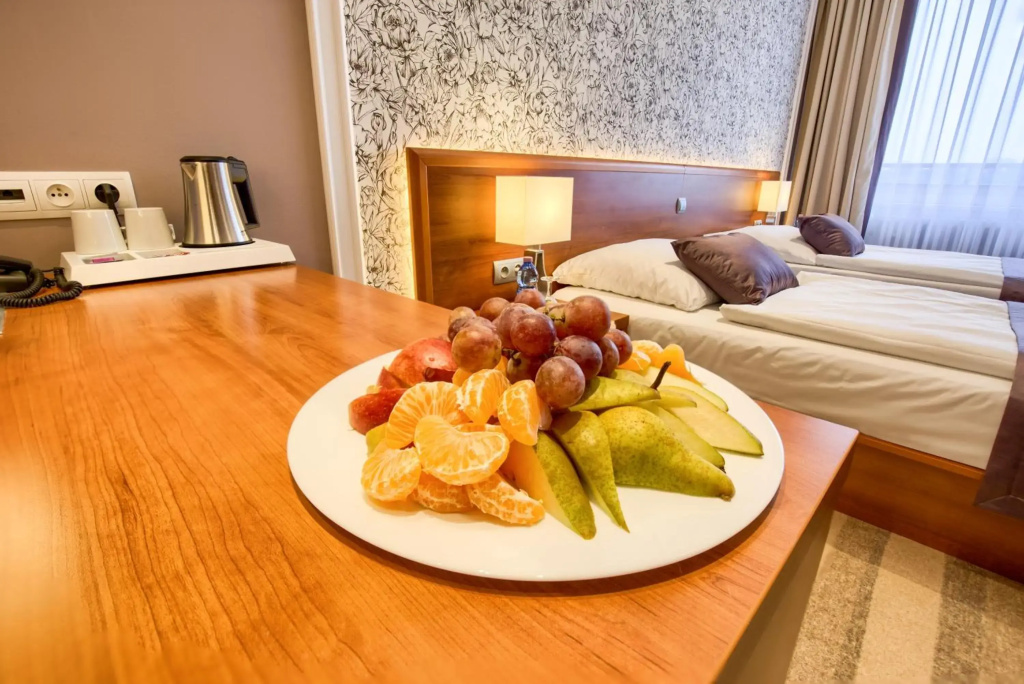 Avanti Hotel Brno - фото 13