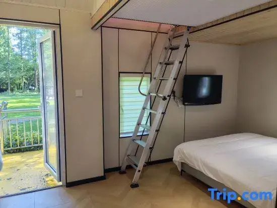Standard Attic room