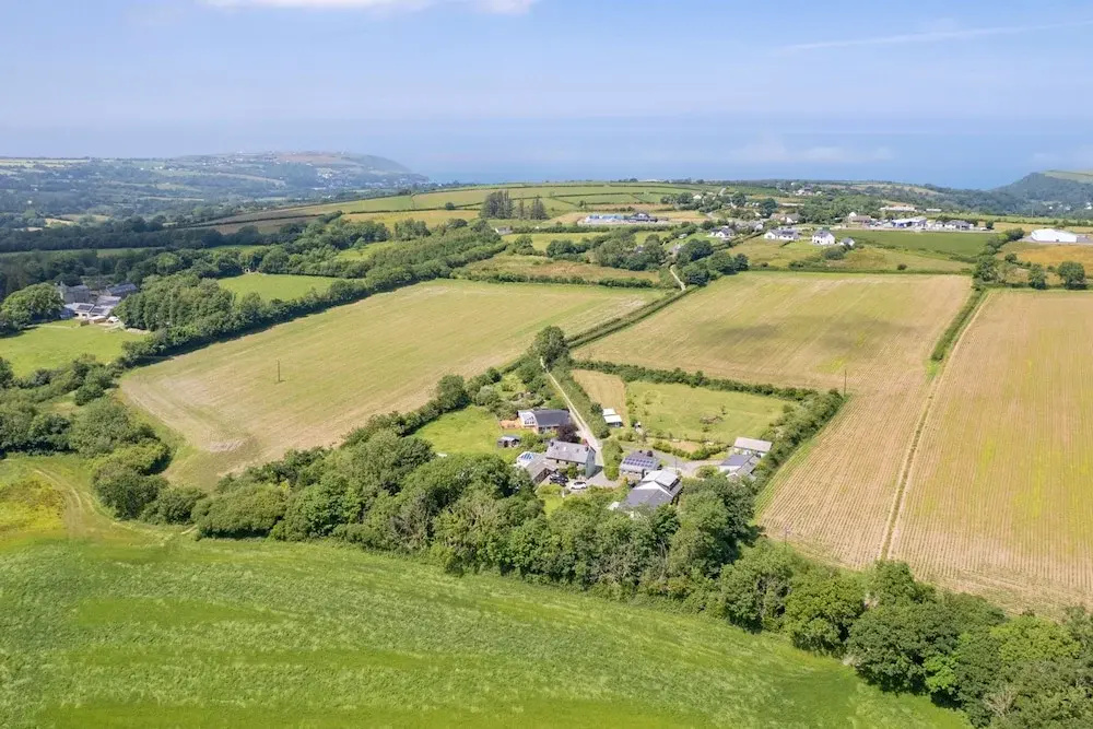 Hedgerow at Gorslwyd - Sound Retreat