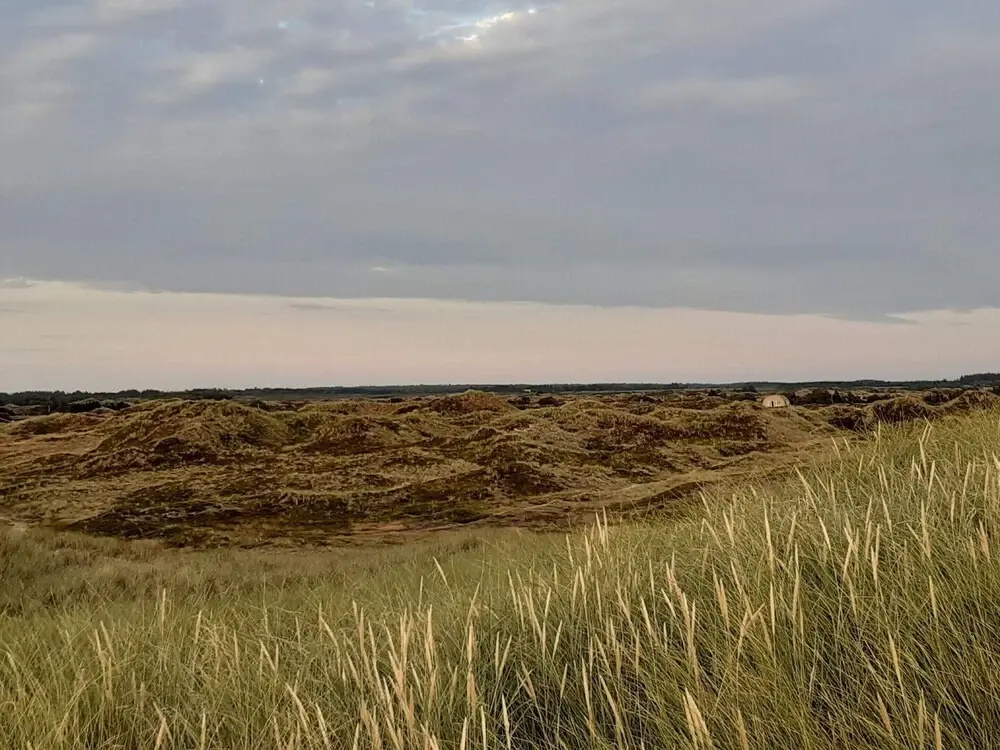 Serene Holiday Home in Oksbøl near Beach