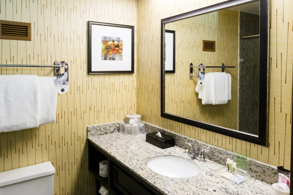 Holiday Inn Express Big Rapids by IHG - Général
