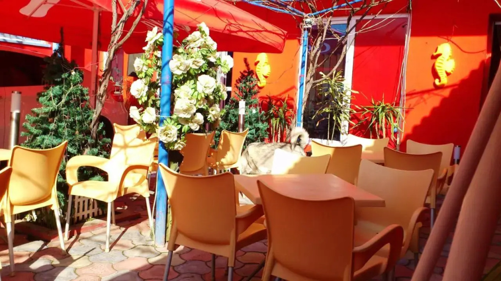 Hotel photo 23