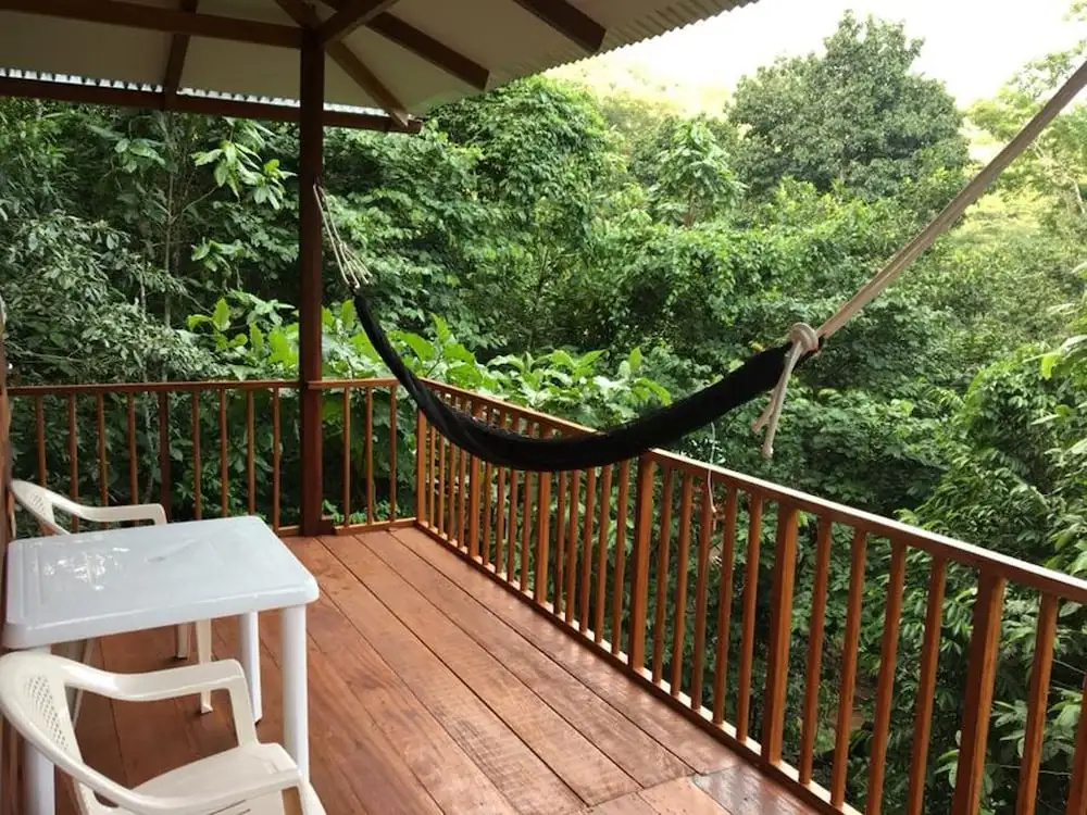 La Musa Verde