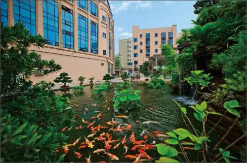 Hotel photo 17